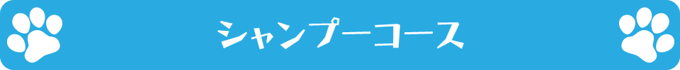 シャンプーコース