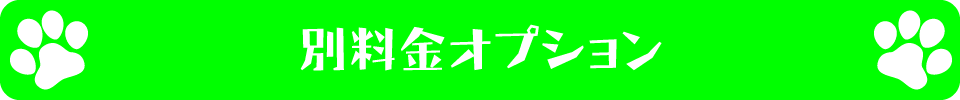 別料金オプション